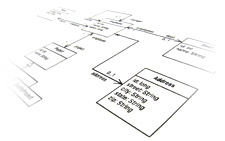 Developer API